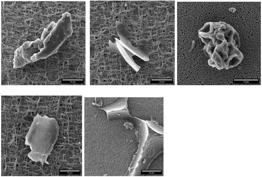 Microplastics in Drinking Water SEM Investigation